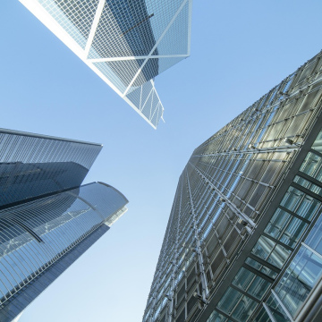 Business & Investment Consulting